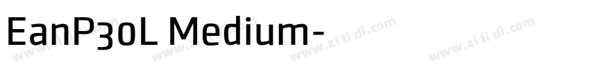 EanP30L Medium字体转换